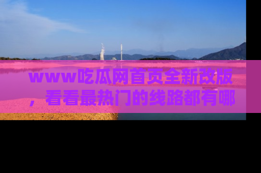 www吃瓜网首页全新改版，看看最热门的线路都有哪些！