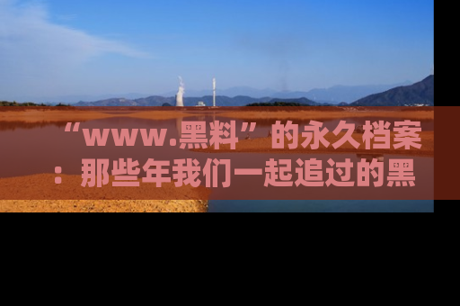 “www.黑料”的永久档案：那些年我们一起追过的黑料真相