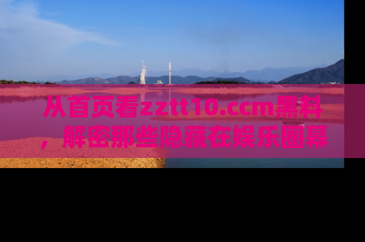 从首页看zztt10.ccm黑料，解密那些隐藏在娱乐圈幕后的丑闻故事！