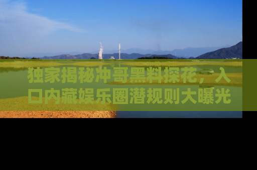 独家揭秘冲哥黑料探花，入口内藏娱乐圈潜规则大曝光
