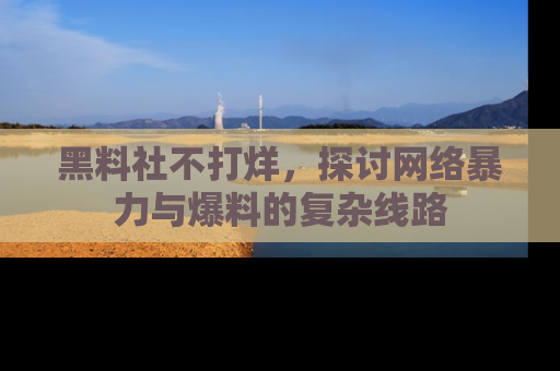 黑料社不打烊，探讨网络暴力与爆料的复杂线路