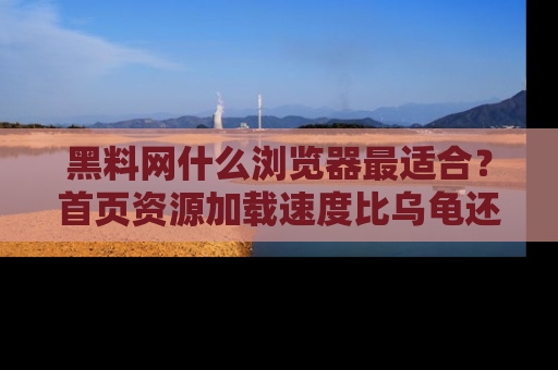 黑料网什么浏览器最适合？首页资源加载速度比乌龟还慢的体验真心吐槽！