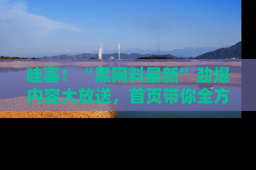 哇塞！“黑网料最新”劲爆内容大放送，首页带你全方位了解哦，小可爱们