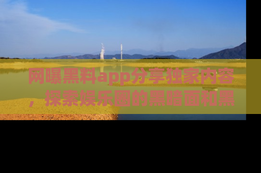 网曝黑料app分享独家内容，探索娱乐圈的黑暗面和黑料