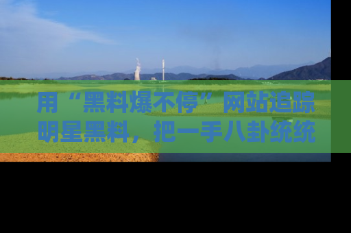 用“黑料爆不停”网站追踪明星黑料,把一手八卦统统收进你的后宫中!