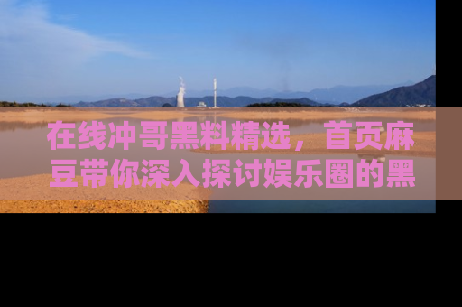在线冲哥黑料精选,首页麻豆带你深入探讨娱乐圈的黑暗面