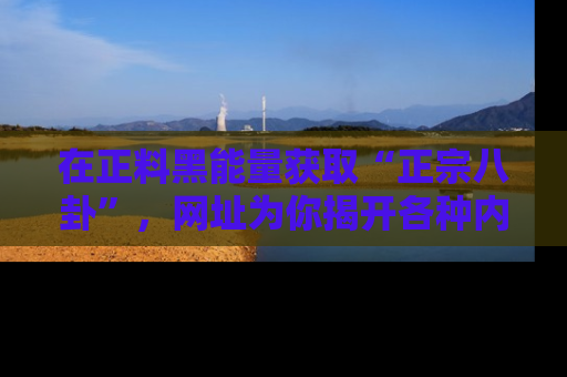 在正料黑能量获取“正宗八卦”，网址为你揭开各种内幕故事！